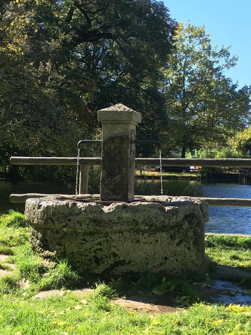 Umgebung Weiher Brunnen