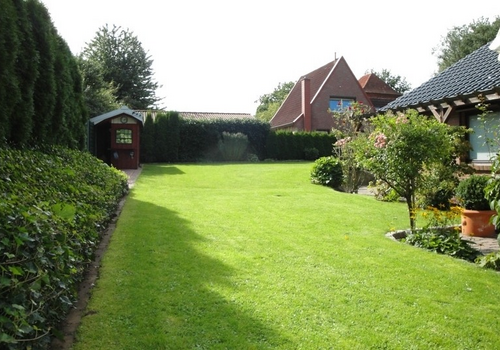 Blick in den Garten