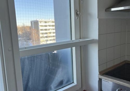 Küchenfenster