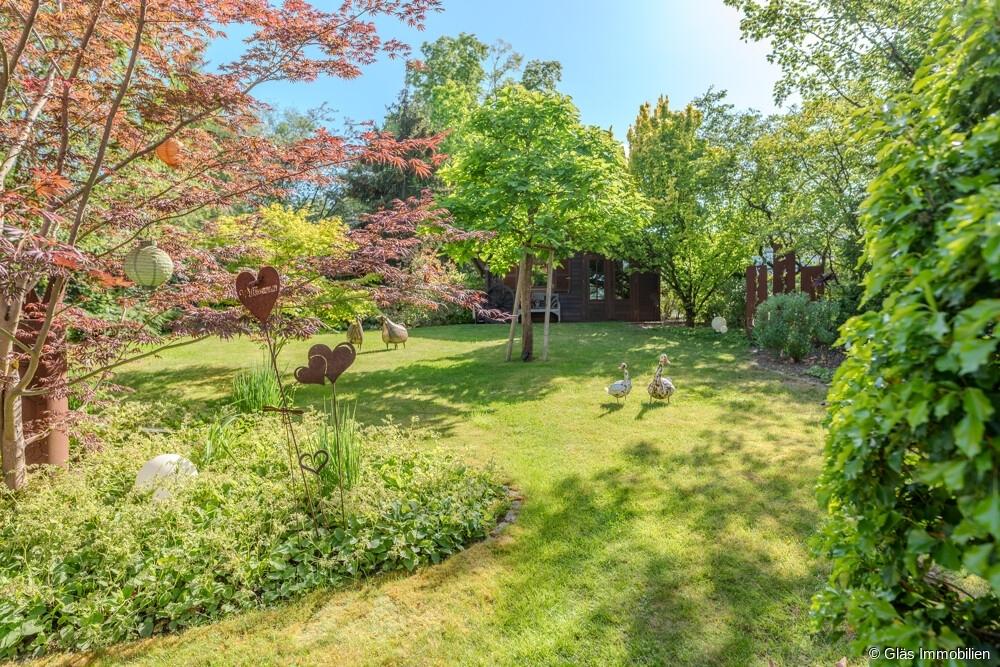 Blick in den Garten