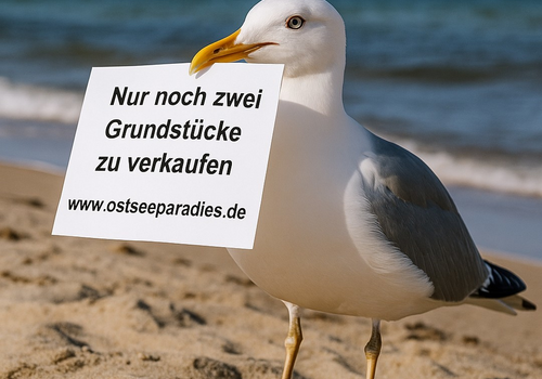 Nur noch zwei Grundstücke 