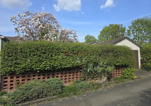 Rückseite / Gartenseite