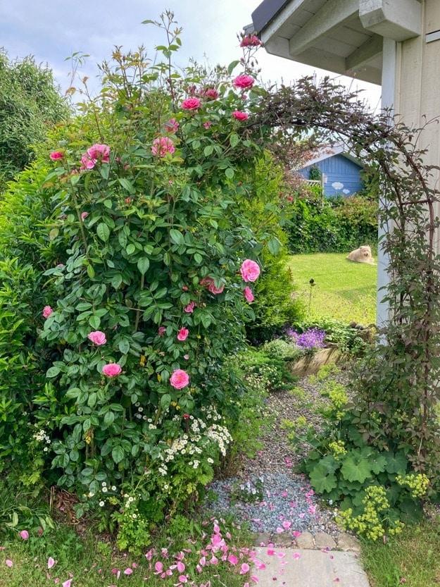 Garten