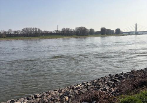 Rheinblick