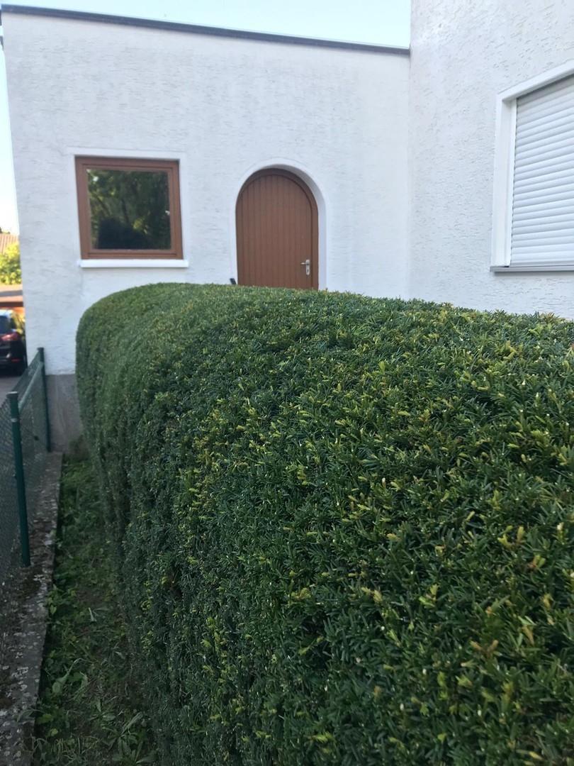 Zugang (Garage)