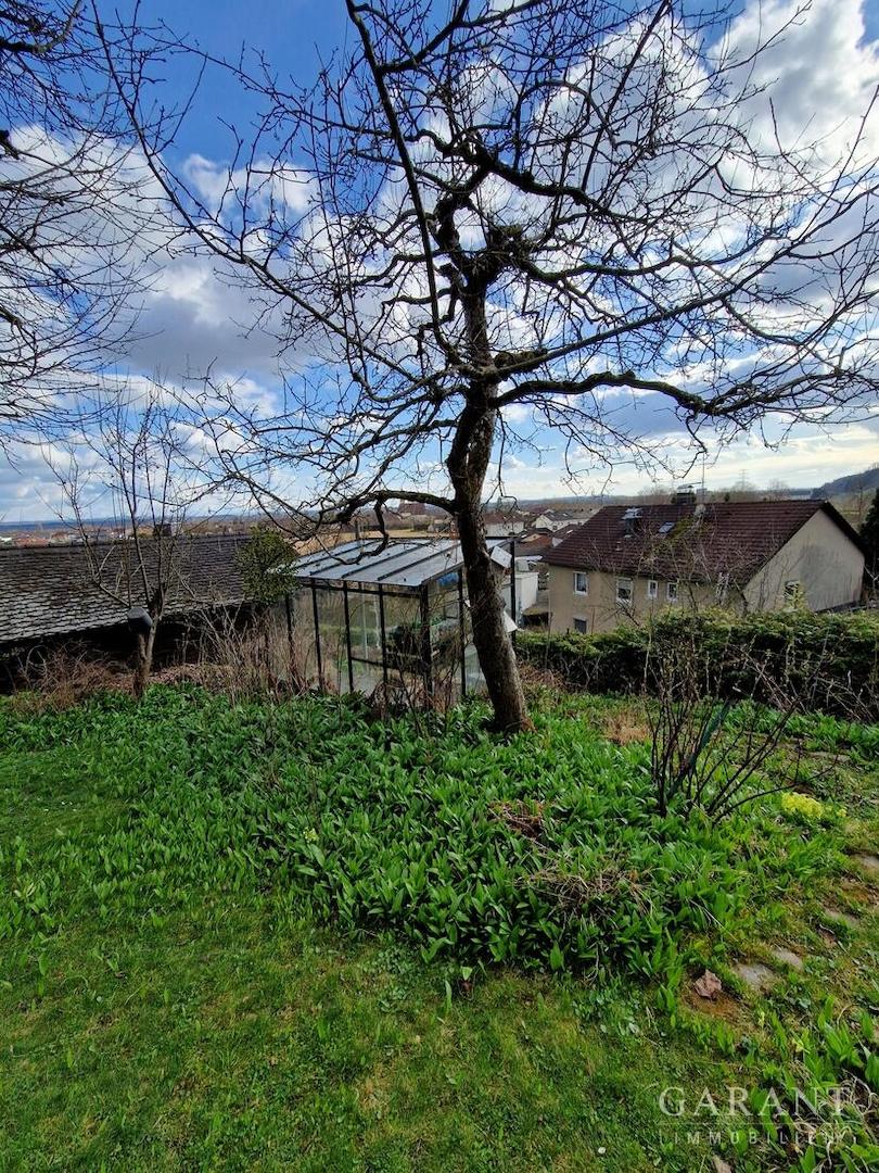 Garten mit Gewaechshaus
