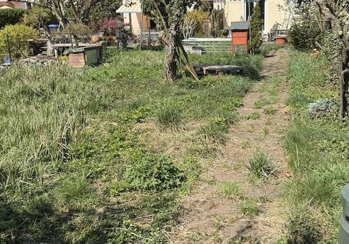 Weg durch den Garten