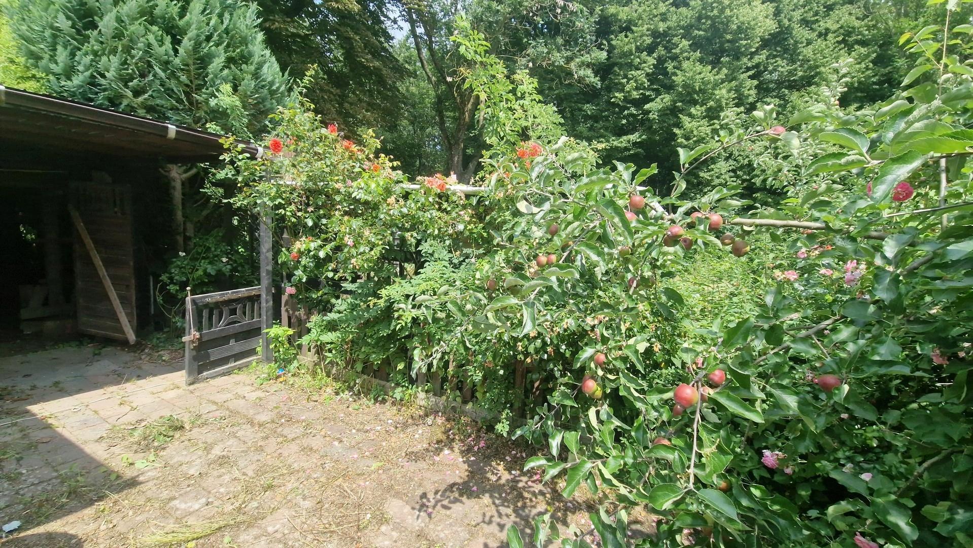 Auffahrt