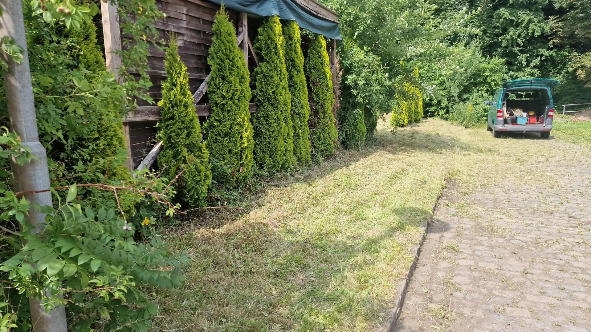 Garten