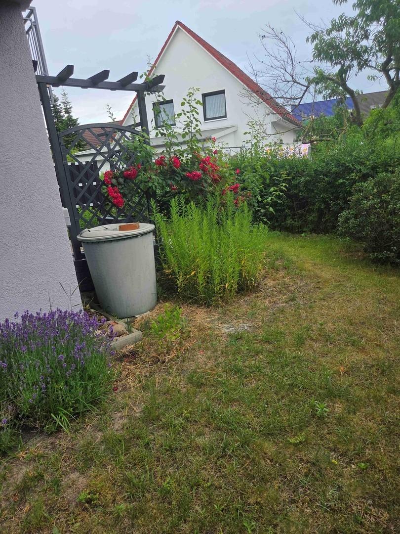 Garten 3