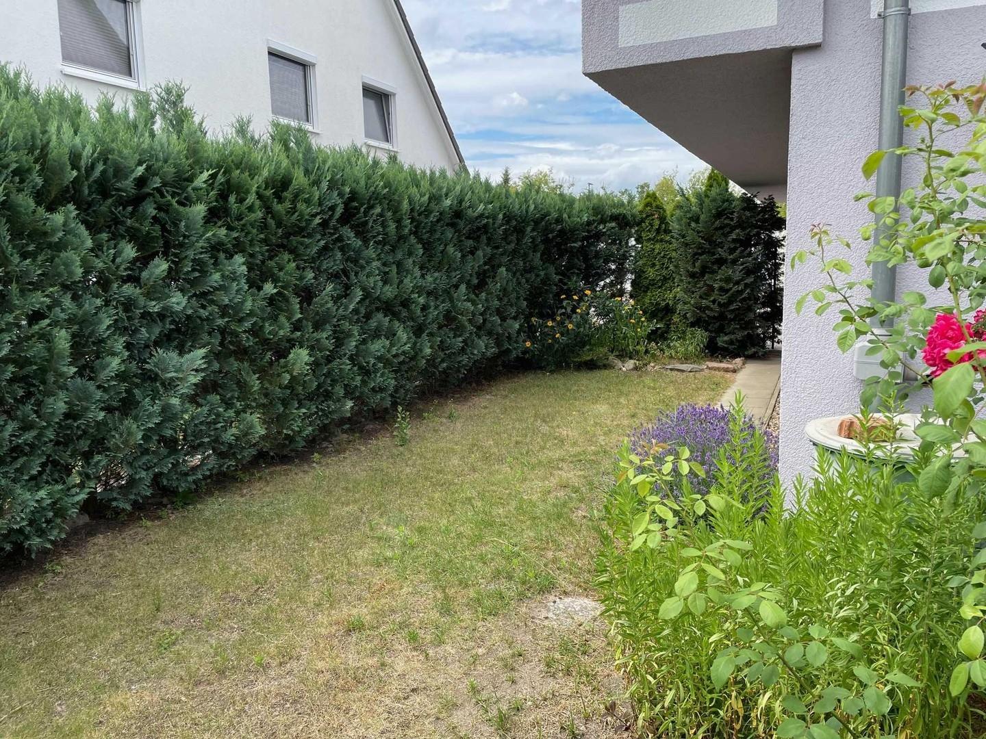 Garten 4