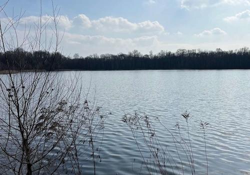 Umgebung Nymphensee