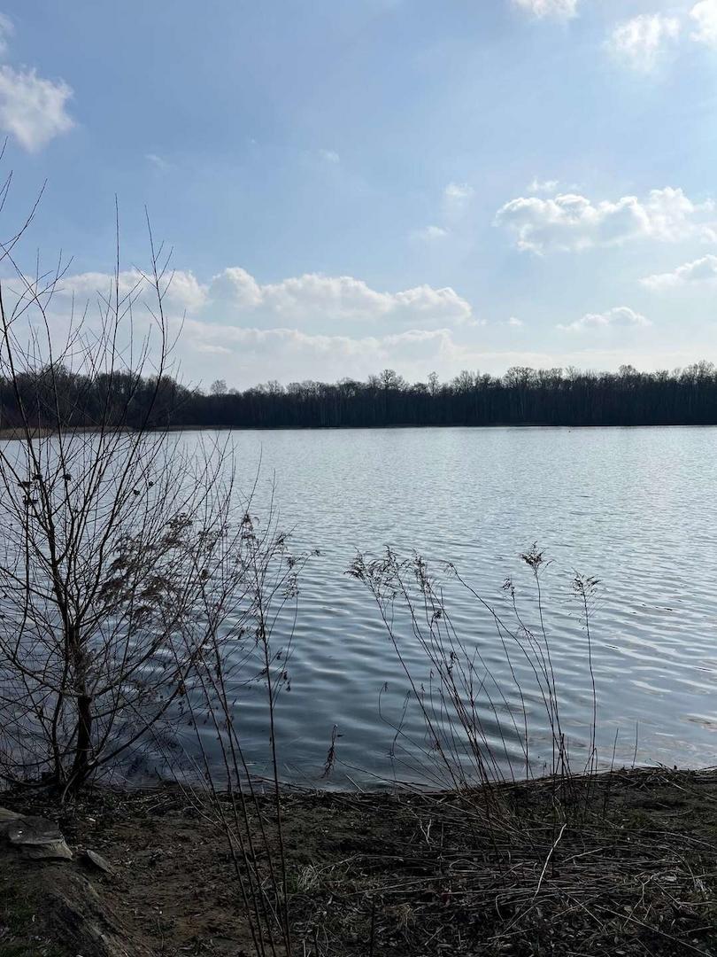 Umgebung Nymphensee