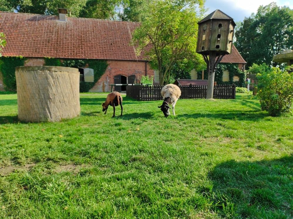 Hofgelände