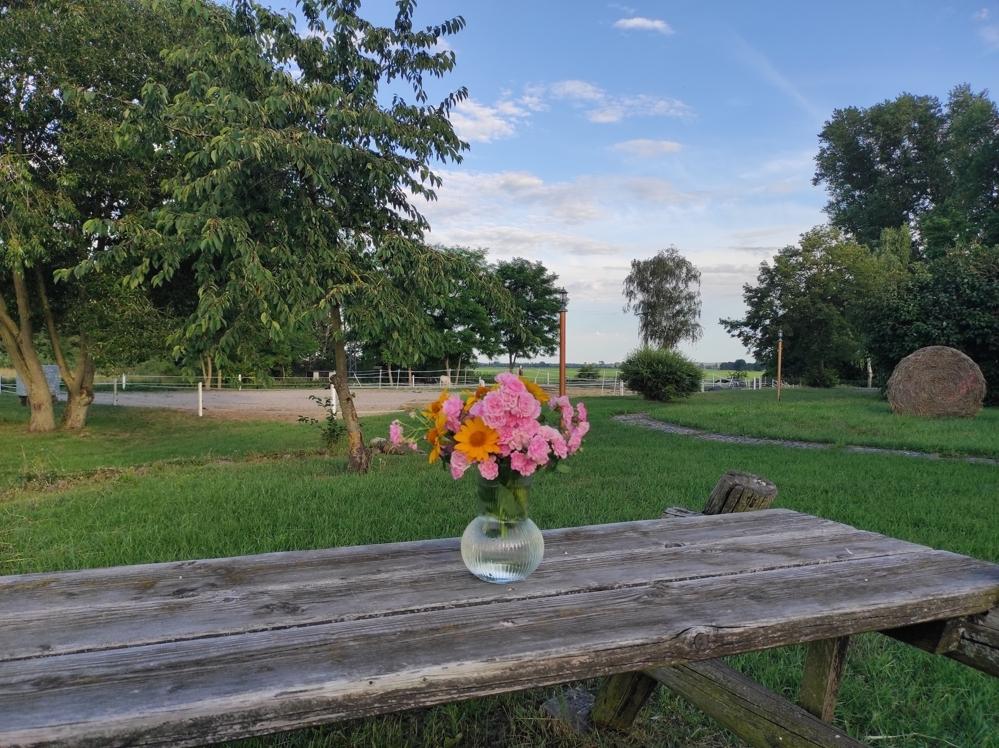 Ausblick Reitplatz