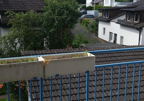 Aussicht