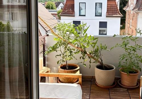 Balkon süd