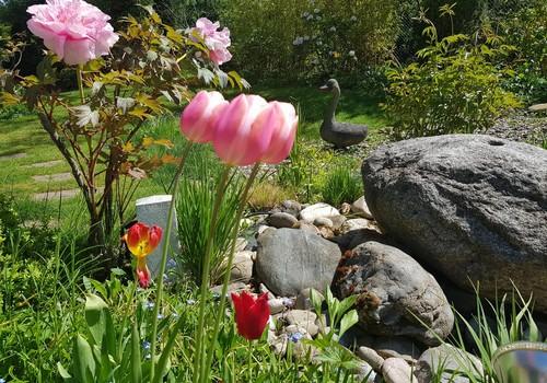 Garten 2