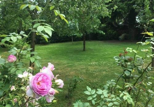 Gartenansicht Richtung Westen