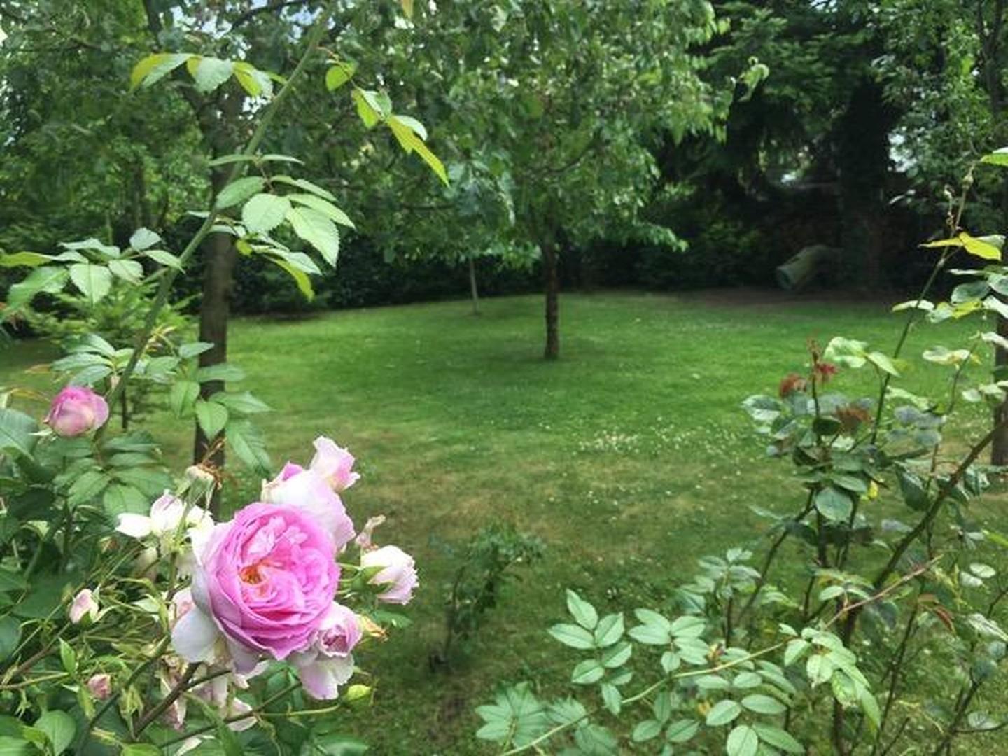 Gartenansicht Richtung Westen