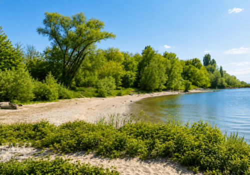 Rheinstrand 