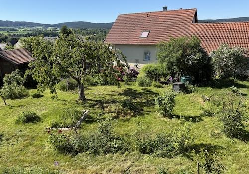 Garten (2)