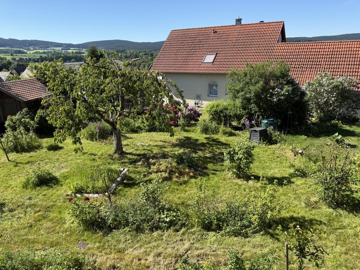 Garten (2)
