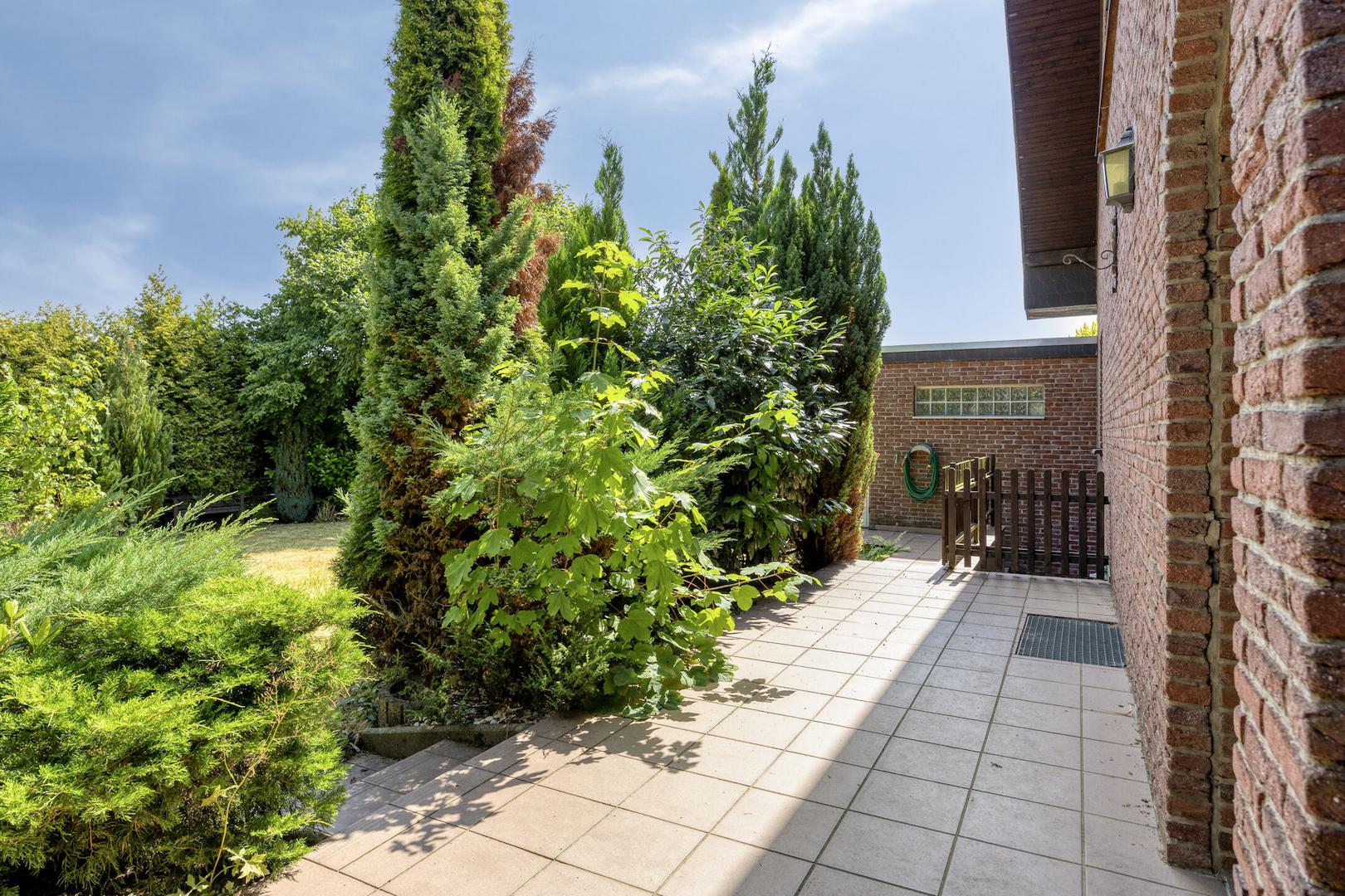 Terrasse Rück