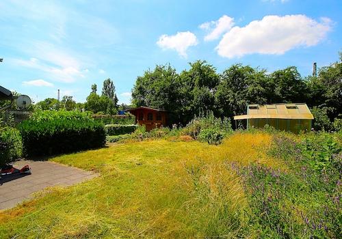 Garten1