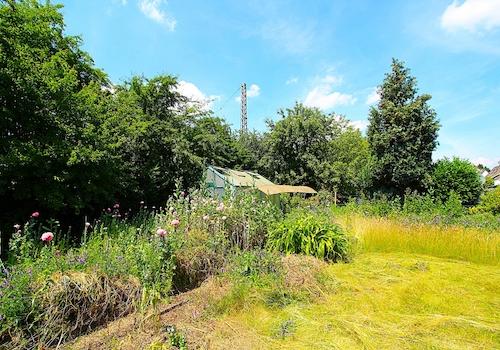 Garten3