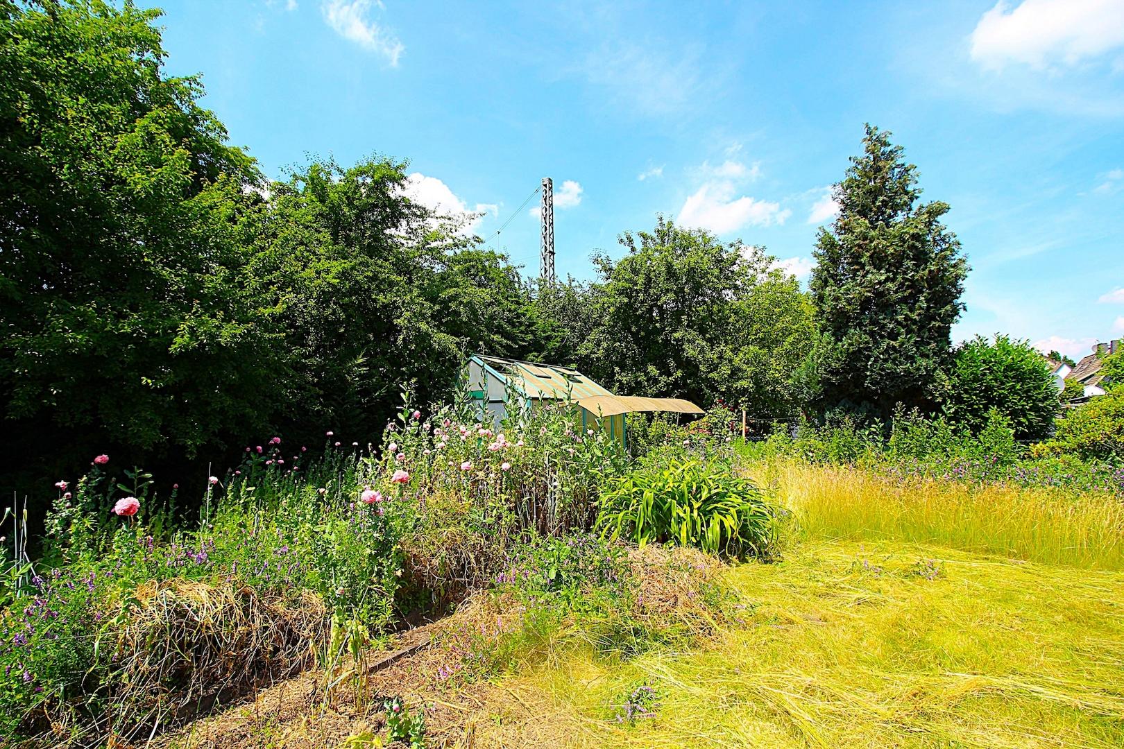 Garten3