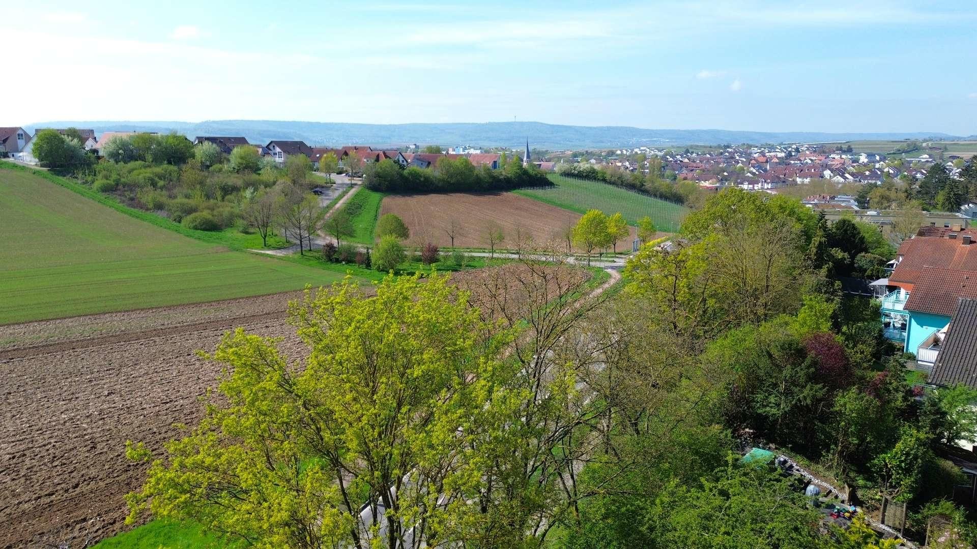 Ausblick 