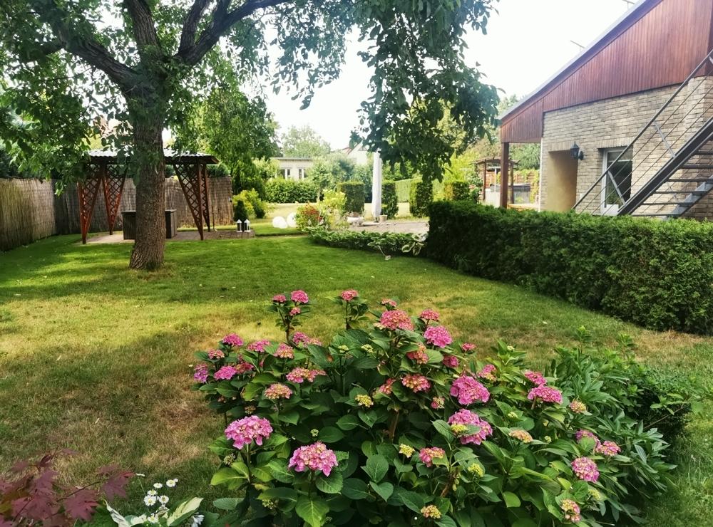 Blick auf das Grundstück
