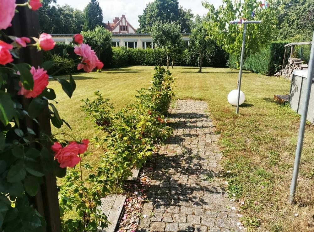 Blick auf das Grundstück