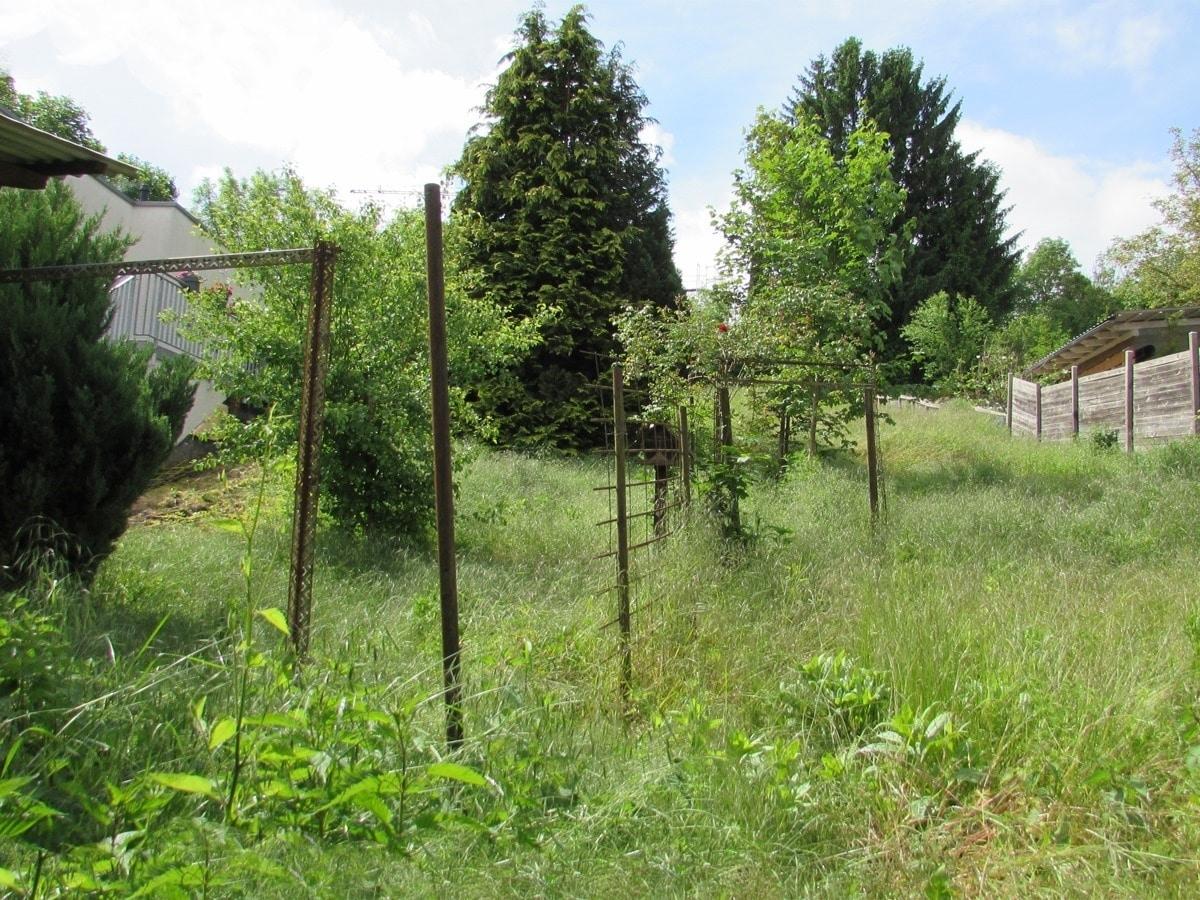 großes Gartengrundstück