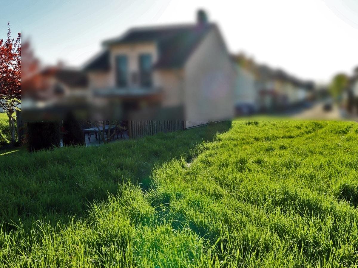 Blick Richtung Straße