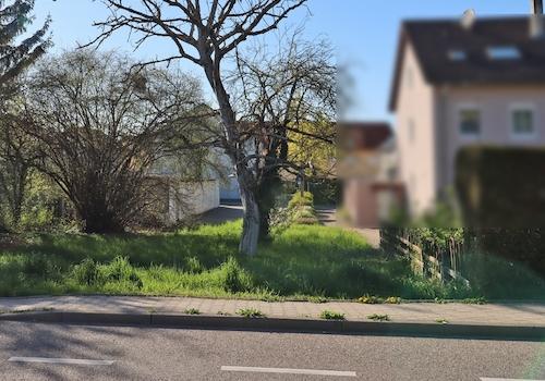 Blick auf das Baugrundstück