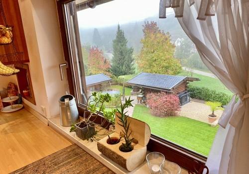Blick in den Garten