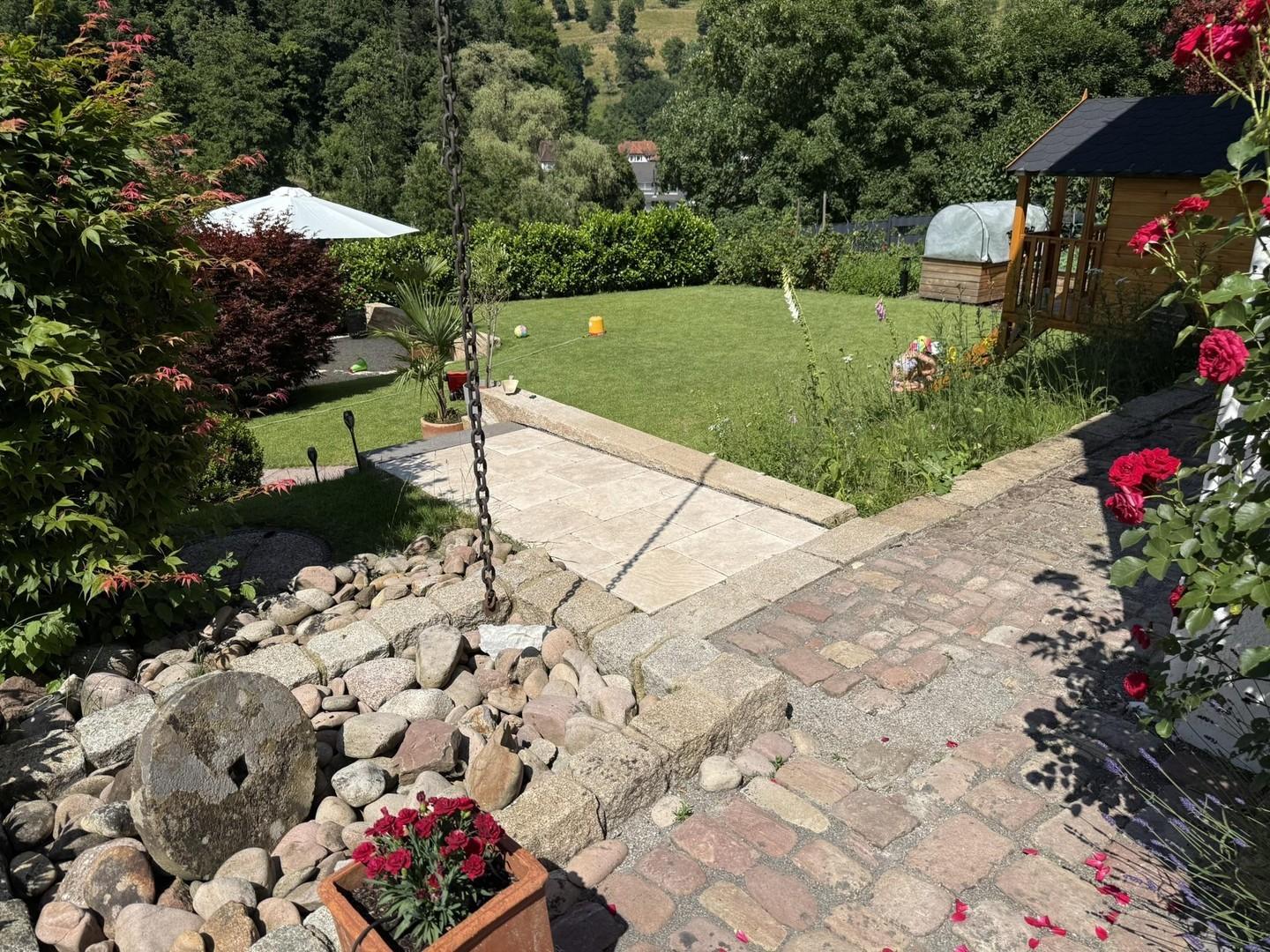 Blick in Garten