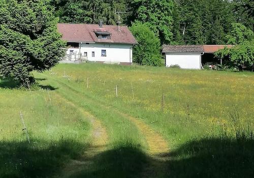 Verbindungsweg Haus Fischweiher