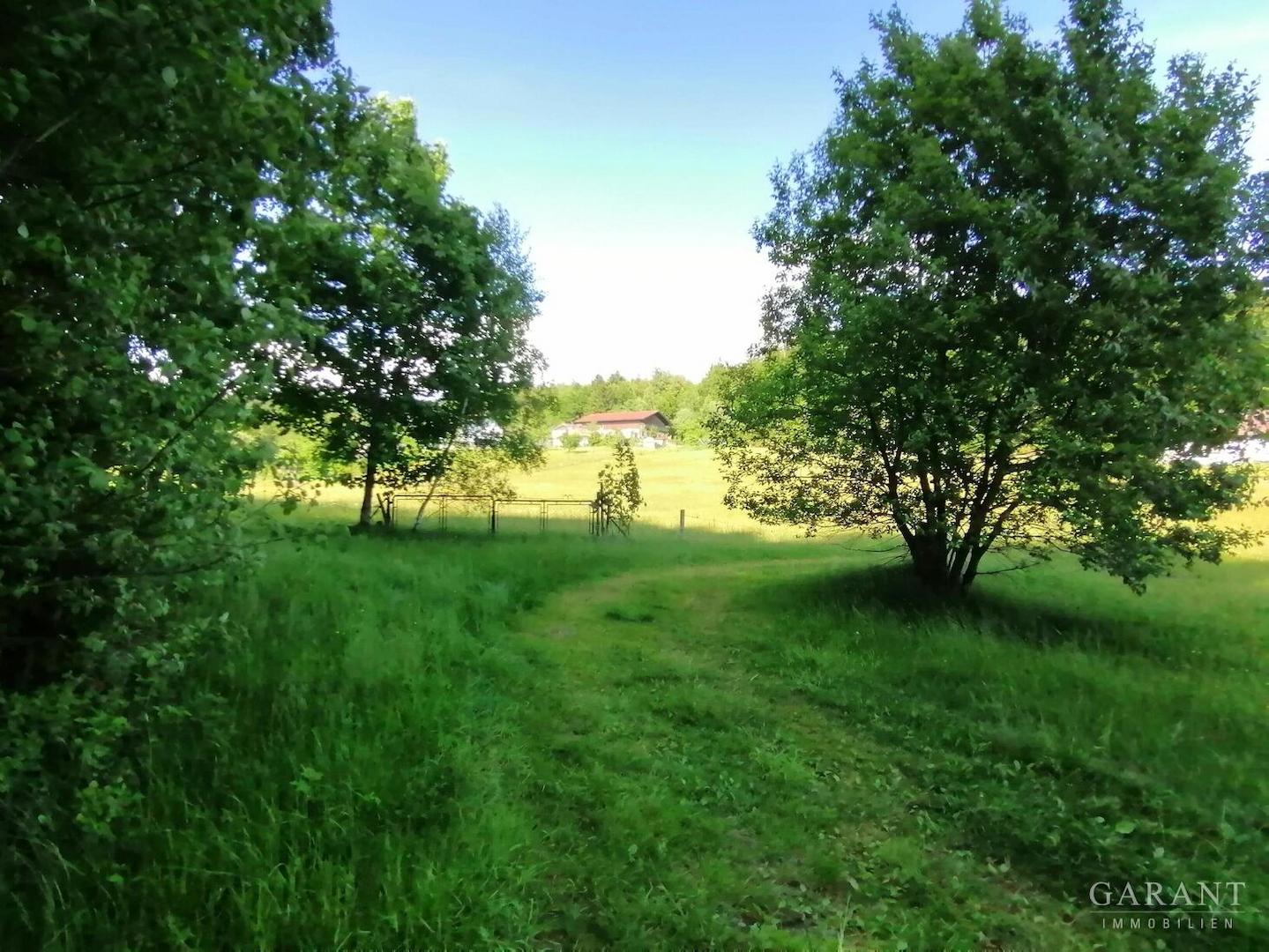 Zufahrt Fischweiher