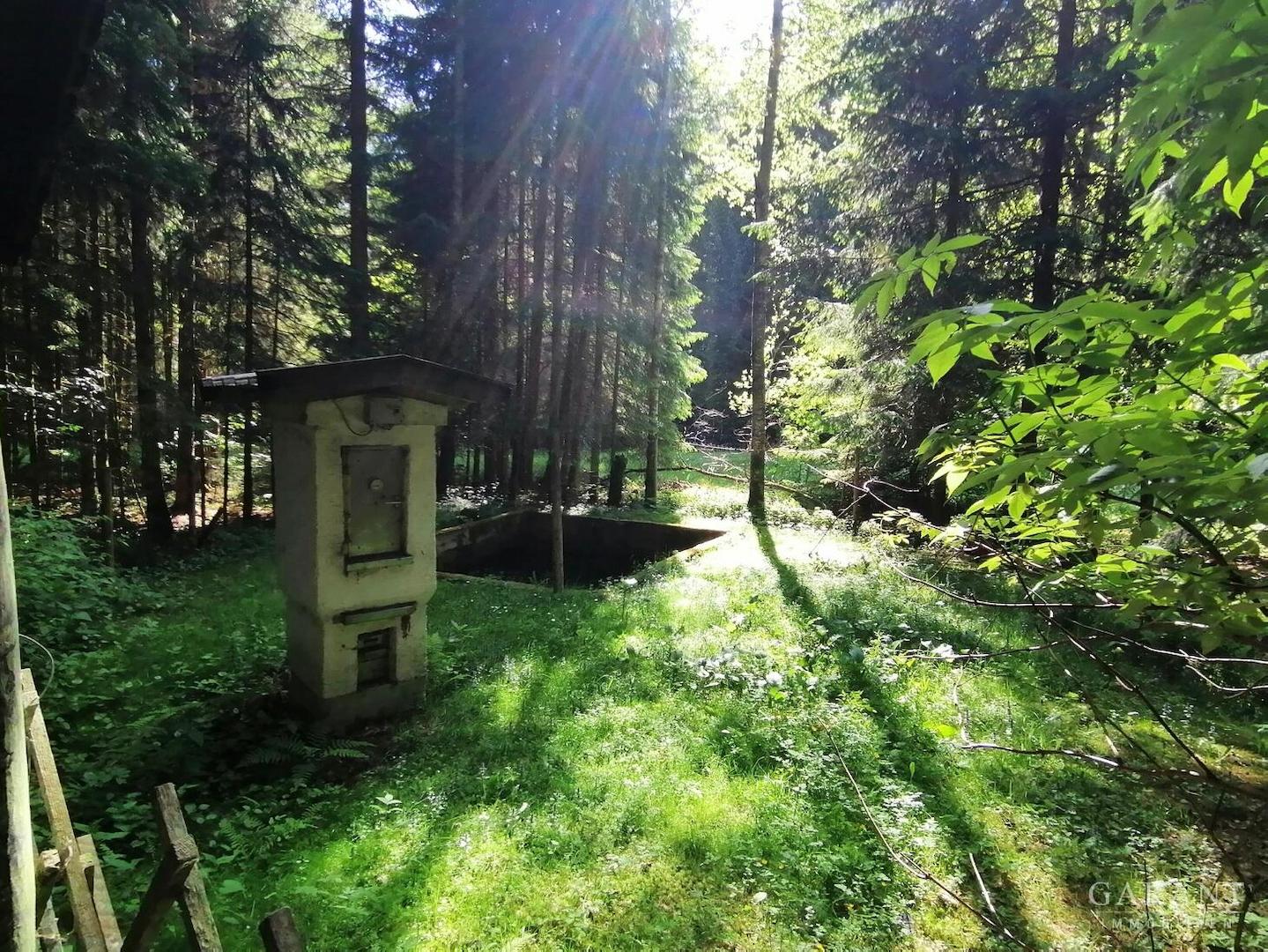 Fischweiher