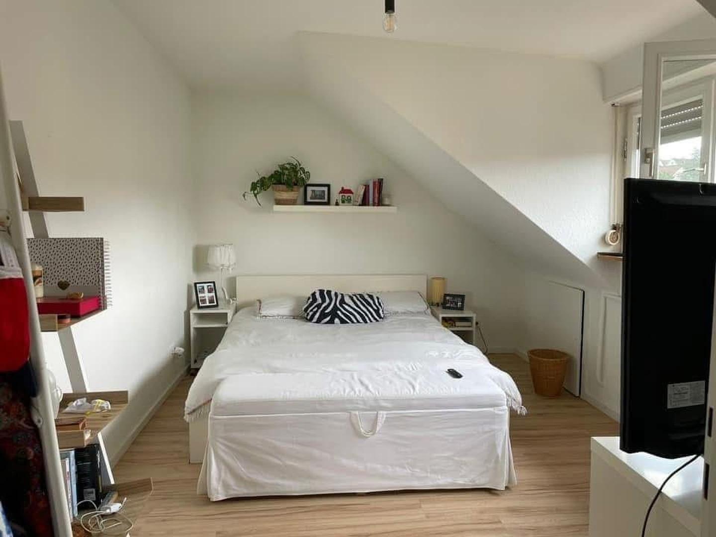 Zimmer DG