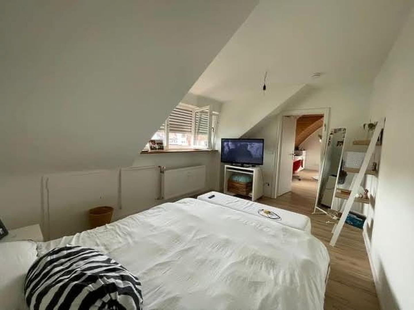 Zimmer DG