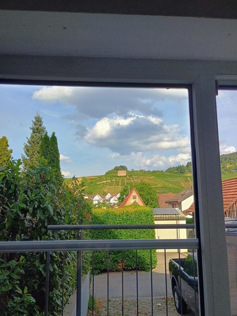 Blick von der Küche auf die We