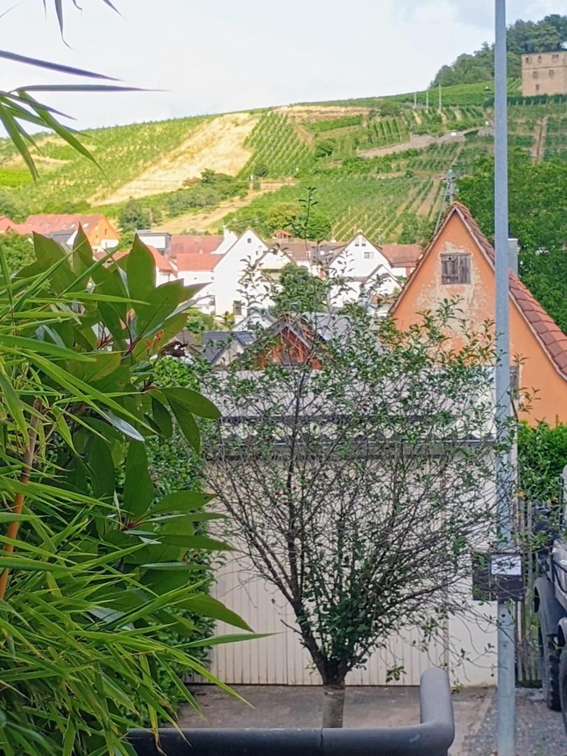 Blick von Terrasse4 Süd