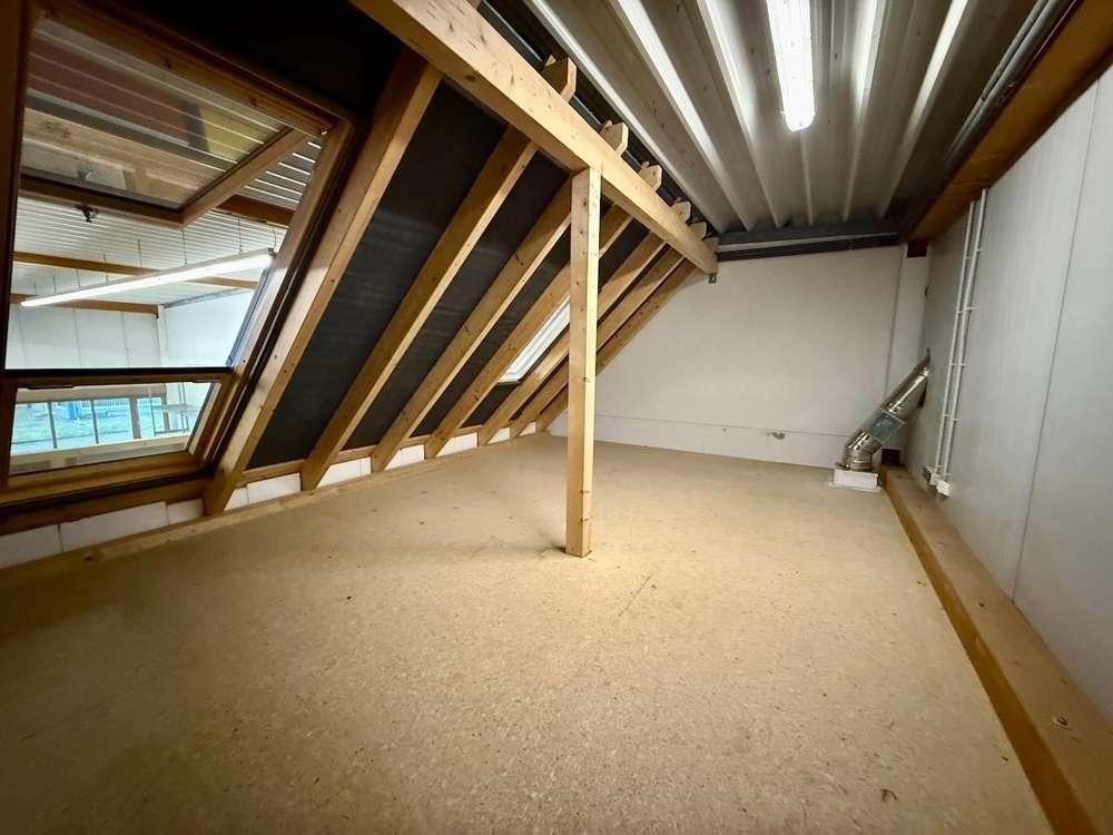 Halle (Lager)