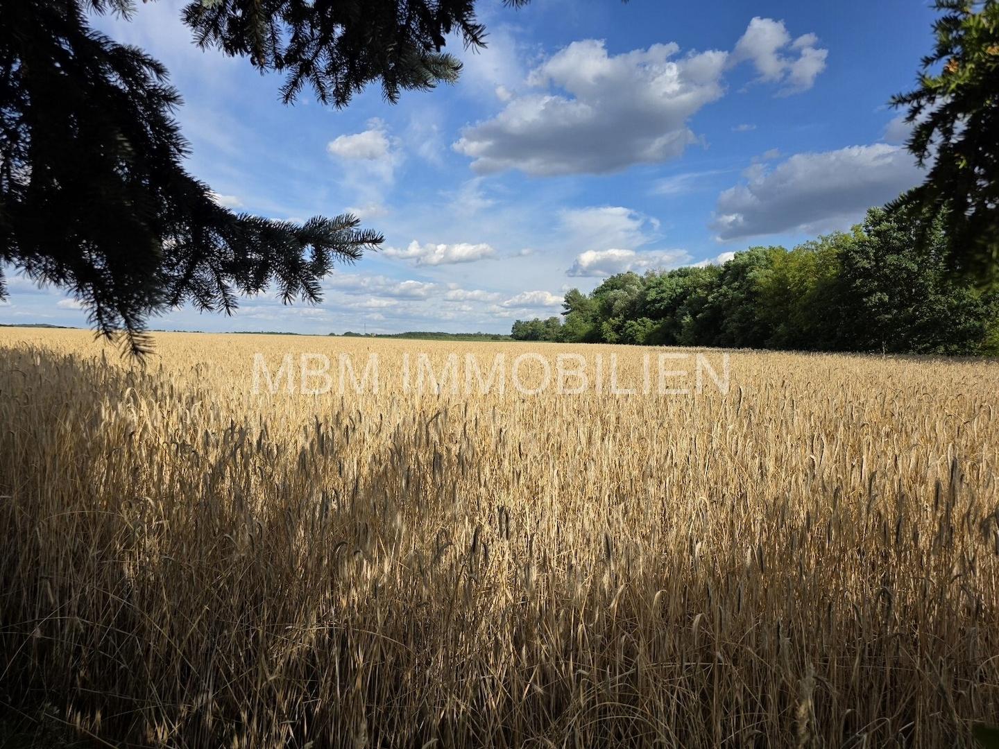 Blick vom Grundstück