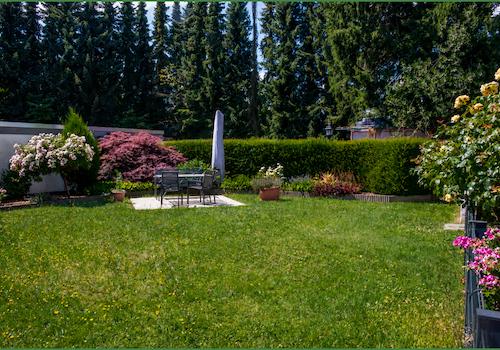 Gemeinschaftsgarten