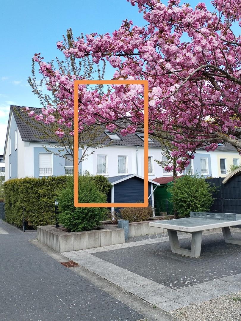 Blick vom Innenhof